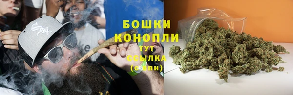 PSILOCYBIN Горнозаводск