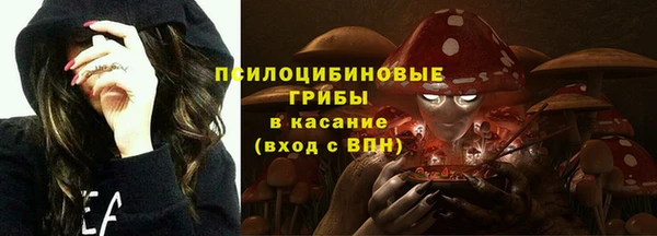 PSILOCYBIN Горнозаводск