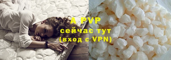 PSILOCYBIN Горнозаводск